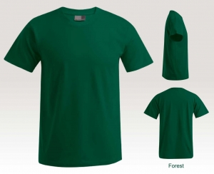 Uni Farbendes T-Shirt von Promodoro in Grün